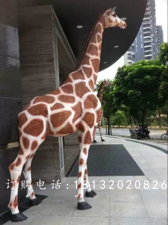 玻璃鋼長(zhǎng)頸鹿雕塑，玻璃鋼仿真動(dòng)物雕塑 (2)